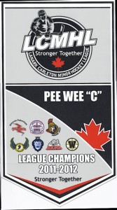 Our LCMHL banner